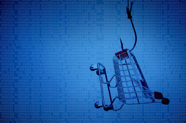 窃取网上购物数据图片下载