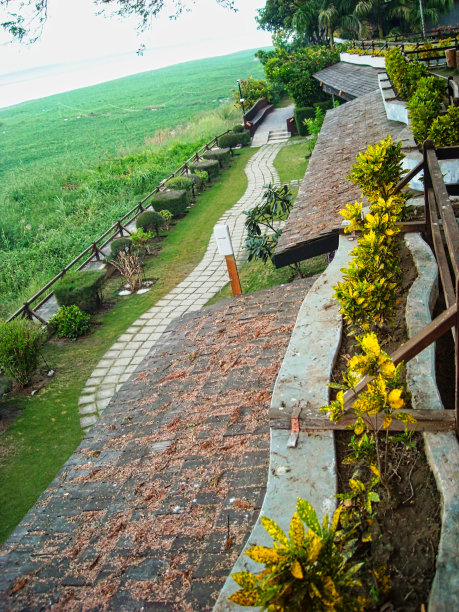 花园有石头小径和草地图片下载