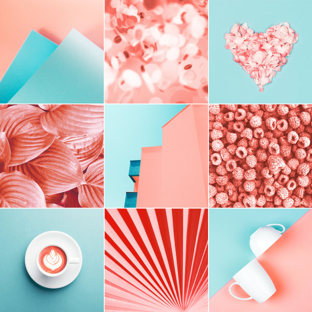 由九张珊瑚色照片制成的拼贴画。图片下载