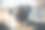 不高兴的哈巴狗坐在笼子里图片下载
