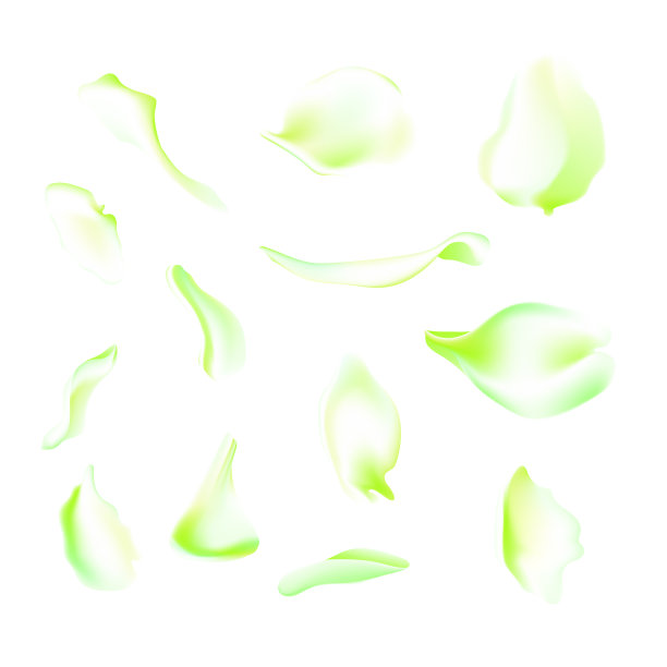 向量集的绿色下降玫瑰和樱花花瓣。模糊的春天花的花瓣设置装饰元素，雄蕊。樱花花瓣集，盛开的玫瑰花瓣对象，花瓣元素集与模糊的樱花素材图片