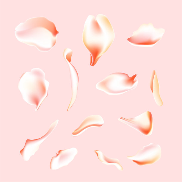 向量集粉红色的玫瑰和樱花花瓣。模糊的春天花的花瓣设置装饰元素，雄蕊。樱花花瓣集，盛开的玫瑰花瓣对象，花瓣元素集与模糊的樱花素材图片