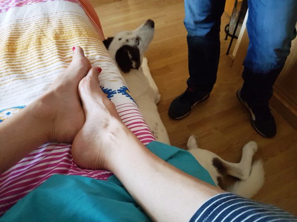 家庭觉醒图片下载