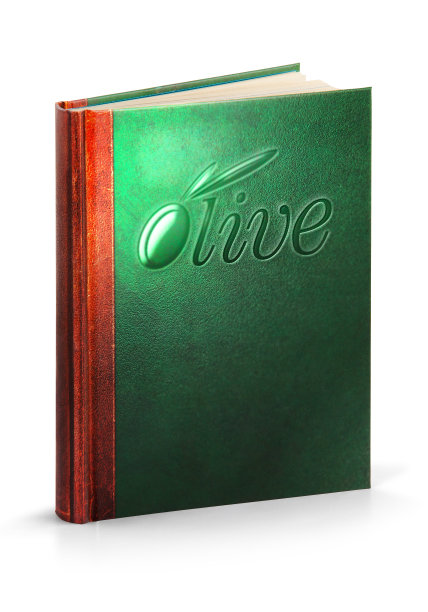 橄榄枝之路之书图片下载