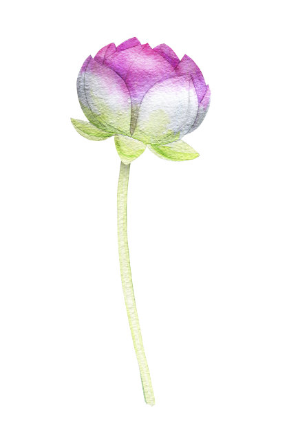 手绘水彩莲花图片下载