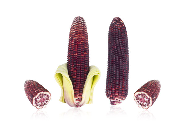 白色背景上的黑色玉米图片下载