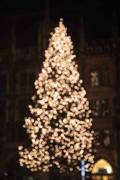 慕尼黑的圣诞树图片下载