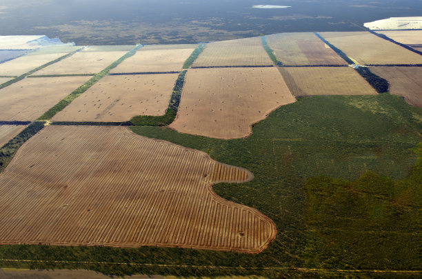 澳大利亚,新南威尔士州,Mildura图片下载