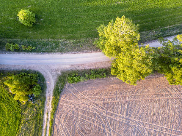 无人机照片之间的十字路口在多彩的早春-从上到下的观点与新鲜耕地在一边和蒲公英田在另一边图片下载
