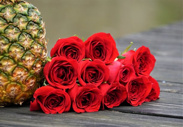 红玫瑰和菠萝图片下载