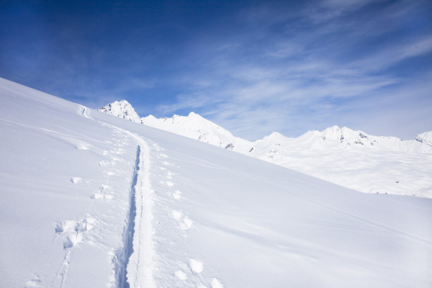 雪地里的脚印图片下载