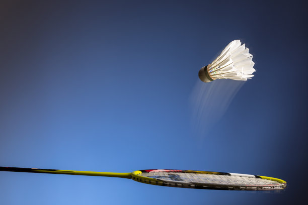 羽毛球拍和羽毛球图片下载