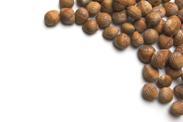 常见的淡褐色大榛子图片下载