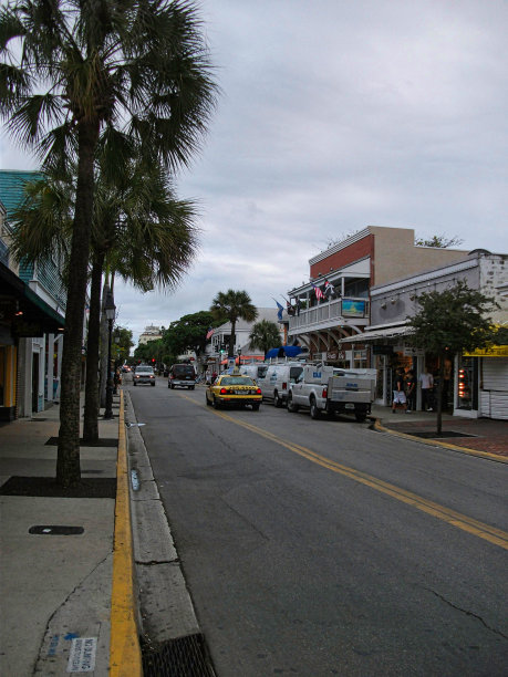 棕榈树和黄色汽车的街道图片下载