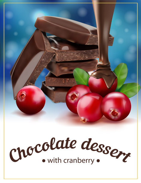 巧克力甜点加蔓越莓。矢量插图。包装设计。图片下载