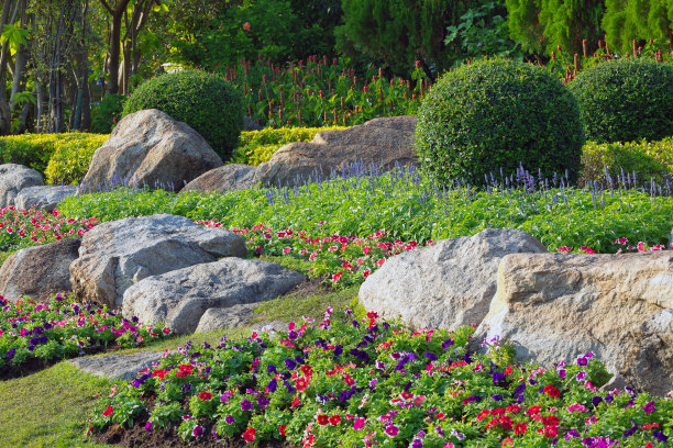 公园里的装饰花园图片下载