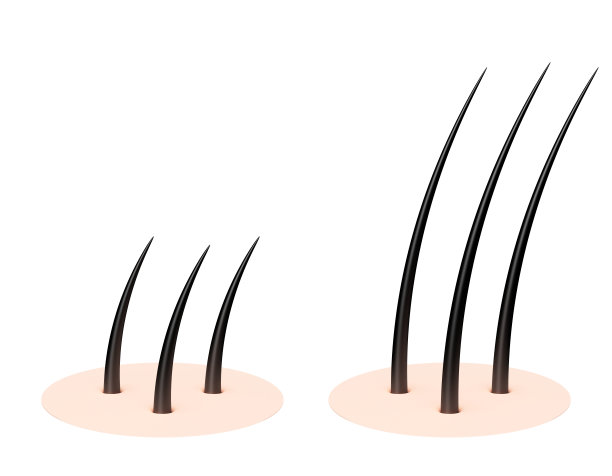 人的头皮。图片下载