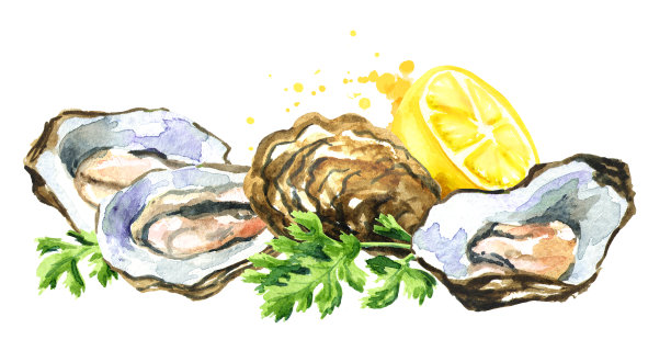 牡蛎与柠檬，海鲜，水彩手绘插图孤立的白色背景图片下载