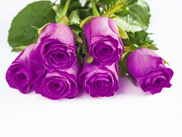 庆祝活动的概念图片下载