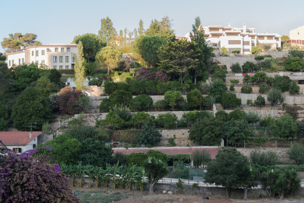 城市住宅区的梯田水果和蔬菜农场图片下载