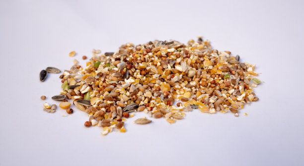 鸡的有机饲料-动物食品近距离图片下载