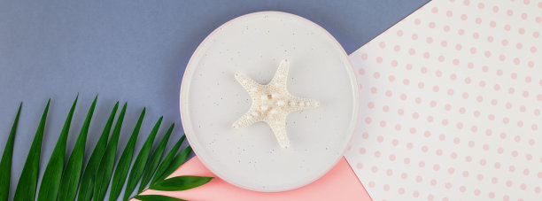 彩色纸背景上有海星的钢板图片下载