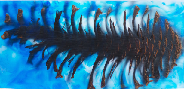 浇注环氧树脂稳定松果抽象艺术背景，纹理木质坯料图片下载