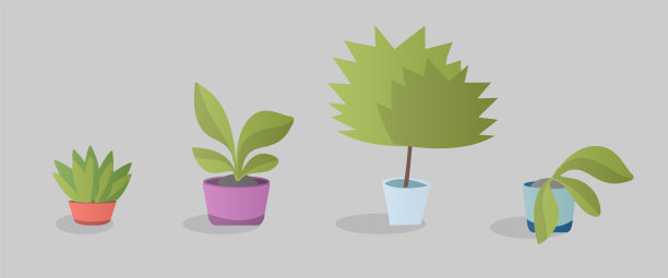 花盆中的绿色植物图片下载