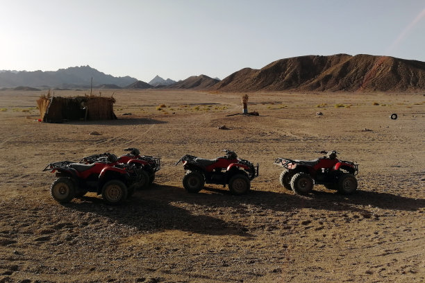 四轮自行车图片下载