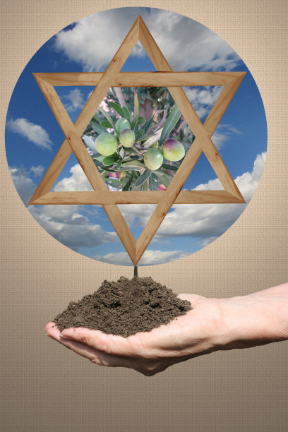 以色列耶路撒冷橄榄山大卫之星图片下载