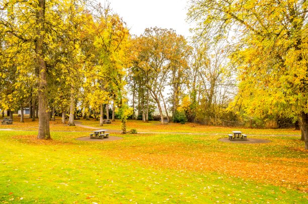 秋季休息区图片下载