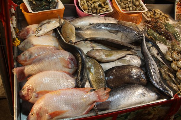 鲜鱼出售图片下载