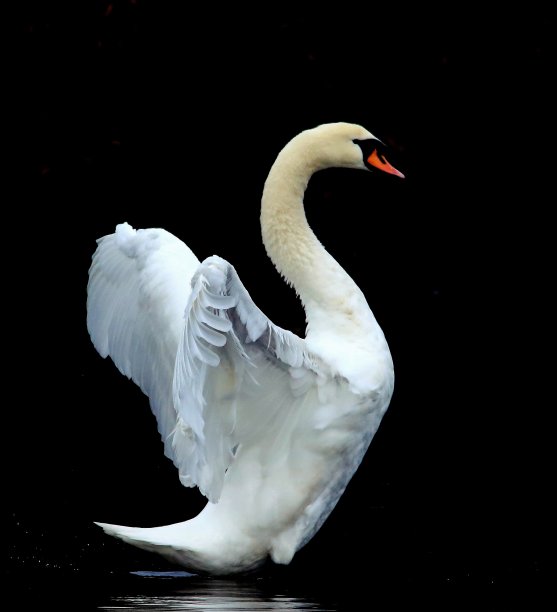 光明与黑暗图片下载