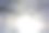 冬天，一棵树的形象图片下载