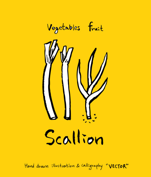 食品菜单插图图片下载