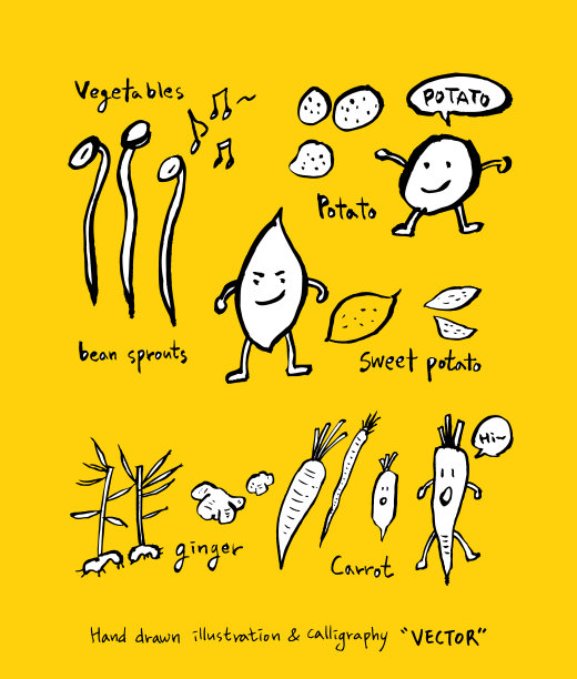 食品菜单插图图片下载