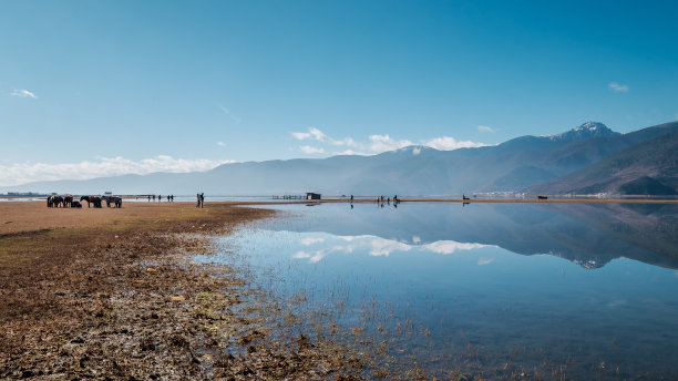 伊拉草原 - 香格里拉图片下载
