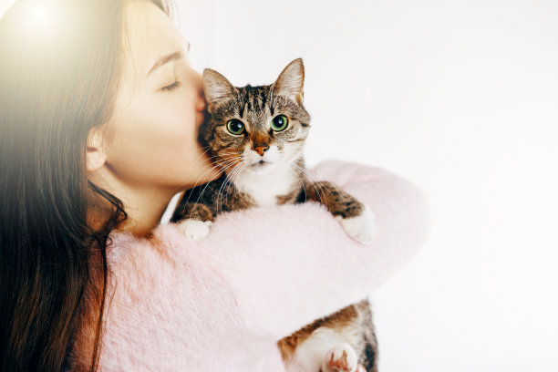 女孩亲吻一只美丽的猫，美丽的女孩拥抱一只猫，女孩抱着一只猫，美丽的猫和女孩温柔的照片图片下载