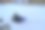 扫雪机在札幌市北海道除雪图片下载