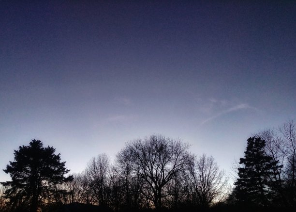 黄昏时树木的剪影图片下载