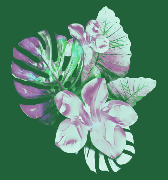 丛林植物模式。图片下载