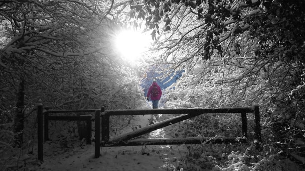 在雪地里散步。图片下载