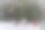 白雪覆盖的冬日早晨图片下载