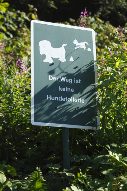 这条路不是狗厕所图片下载