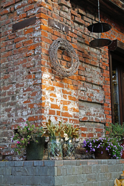 花盆里的矮牵牛花，玻璃罐里装饰的五谷杂粮图片下载