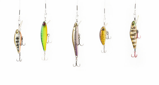 鱼饵。图片下载