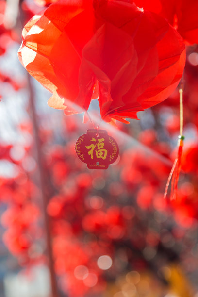 大红灯笼高高挂素材图片