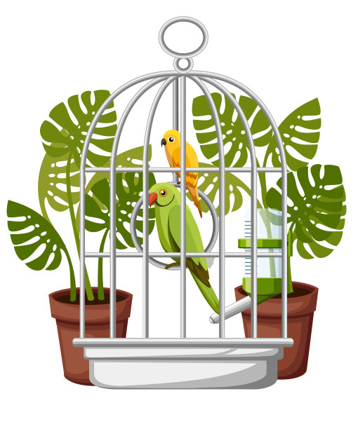 可爱的黄绿相间的鹦鹉。家鸟卡通风格。双鸟笼和自动饮水器。平面矢量插图孤立在白色背景与花盆图片下载