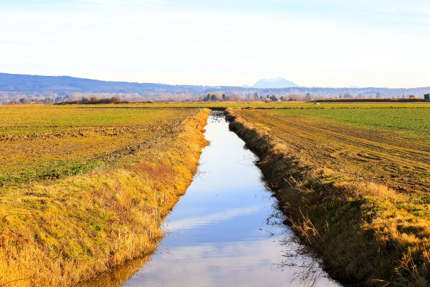 美国华盛顿州斯卡吉特山谷农田排水的小渠图片下载