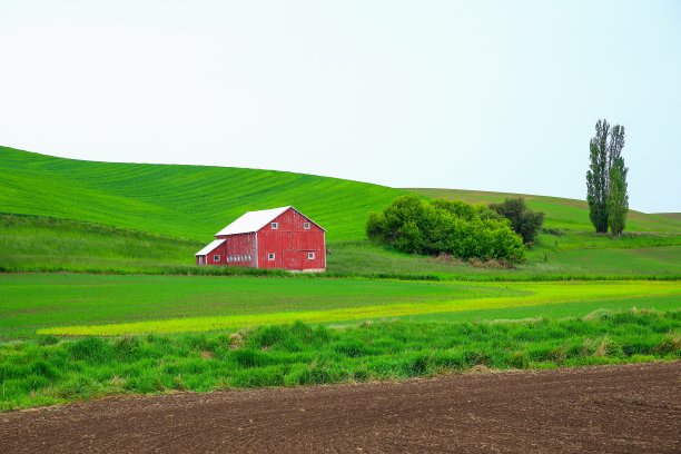 西部牛仔酒吧图片下载